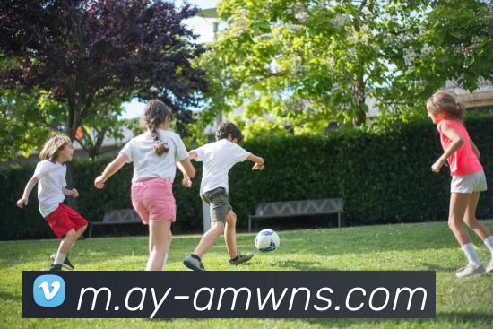 威尼斯人官网平台生态图