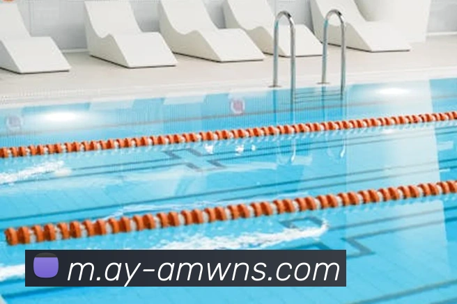 威尼斯人官网APP 封面图